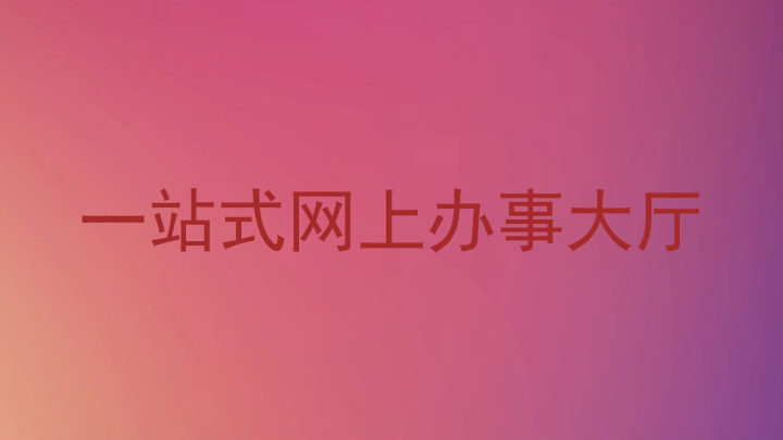 一站式网上办事大厅