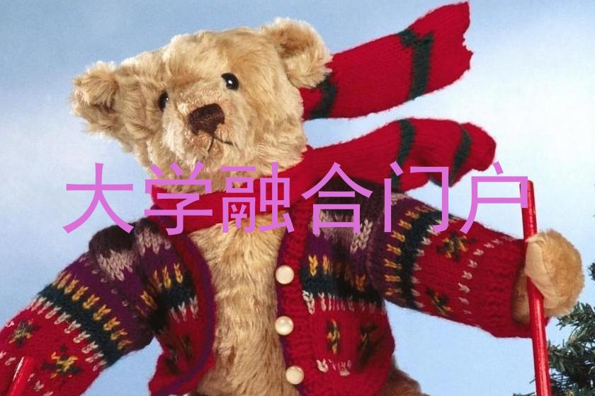 大学融合门户