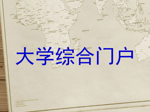 大学综合门户