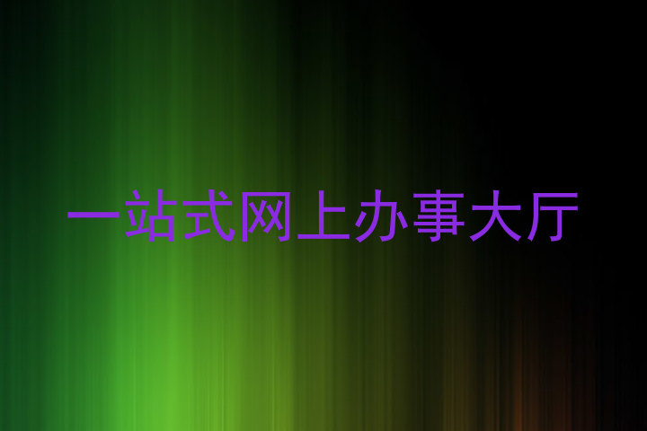 一站式网上办事大厅