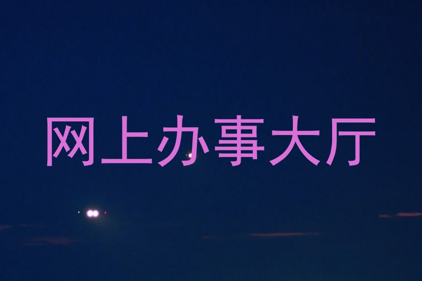 网上办事大厅