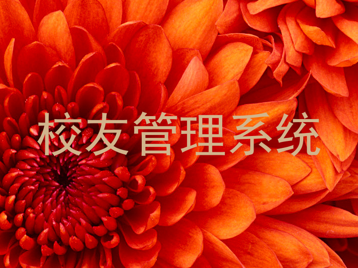 校友管理系统