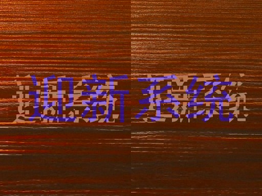 迎新系统