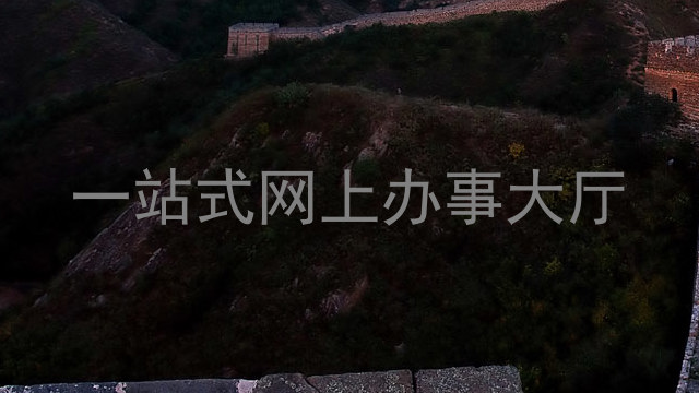 一站式网上办事大厅