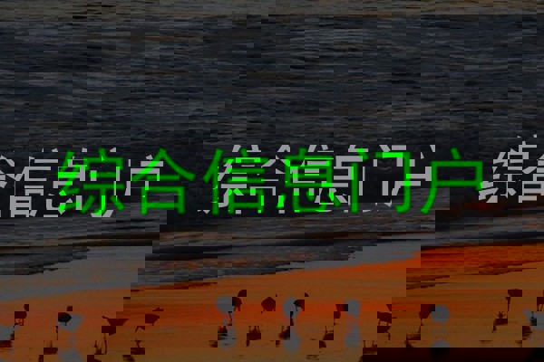 综合信息门户