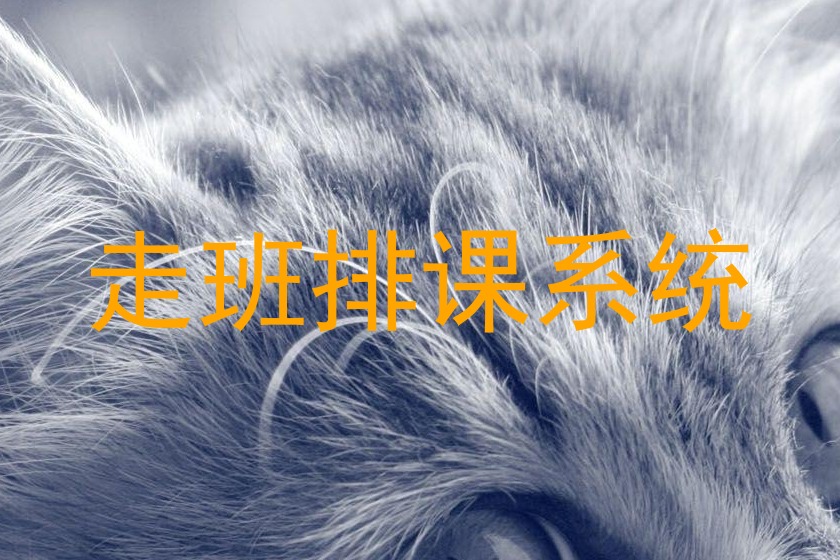 走班排课系统
