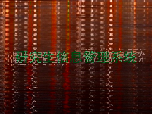 研究生信息管理系统