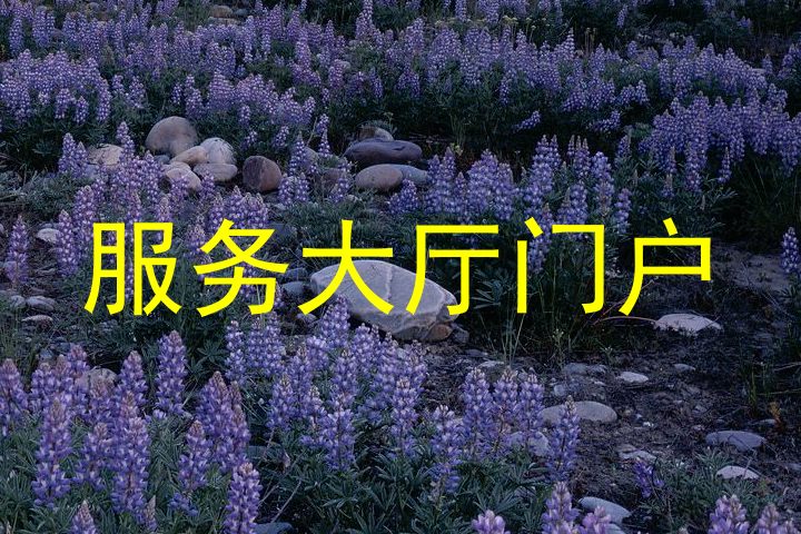 服务大厅门户