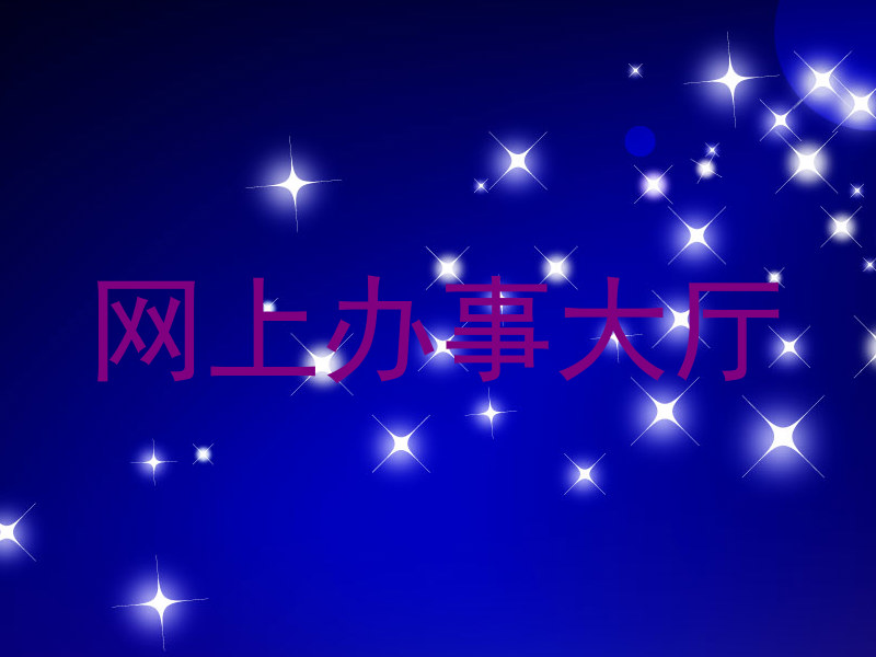 网上办事大厅