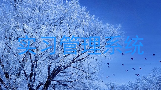 实习管理系统