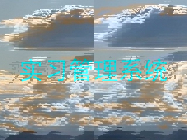 实习管理系统
