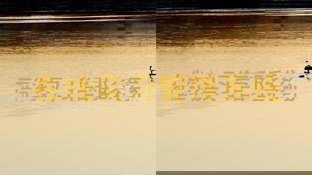 在线实习管理系统