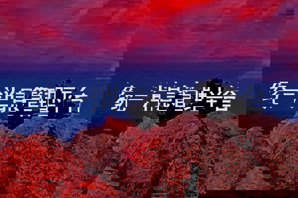 统一消息管理平台