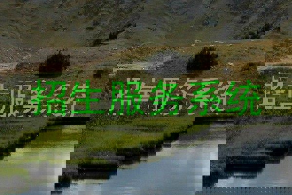 招生服务系统