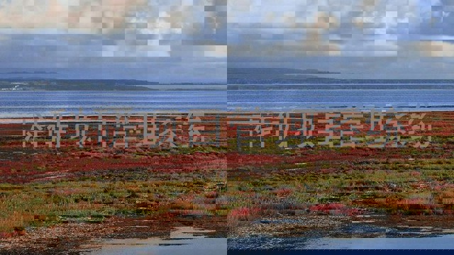 科研项目管理系统