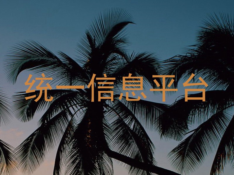 统一信息平台