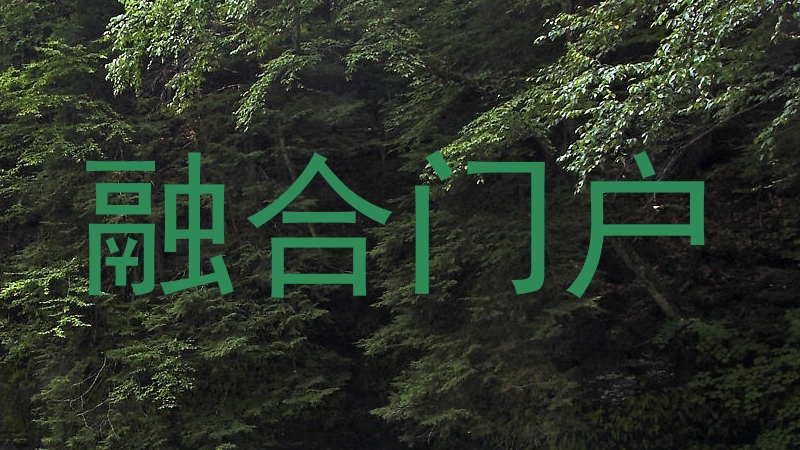 融合门户