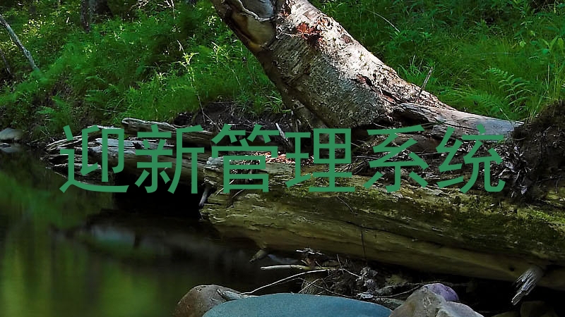 迎新管理系统