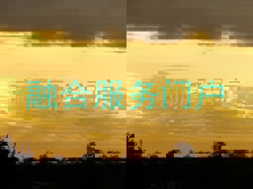 融合服务门户