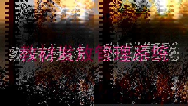 教材发放管理系统
