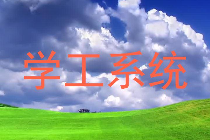 学工系统