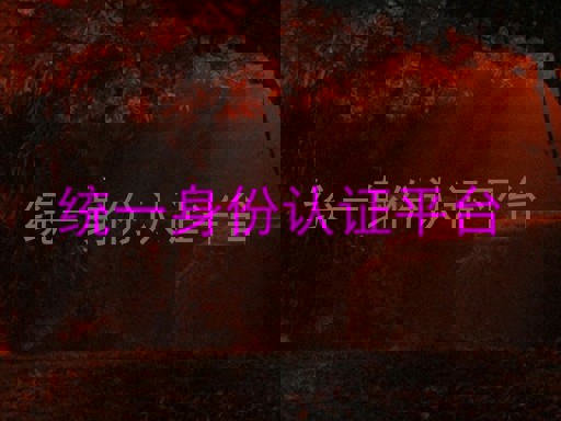 统一身份认证平台
