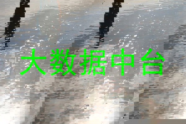 大数据中台