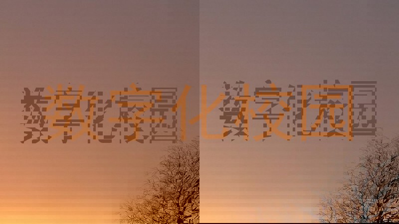 数字化校园