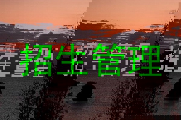 招生管理