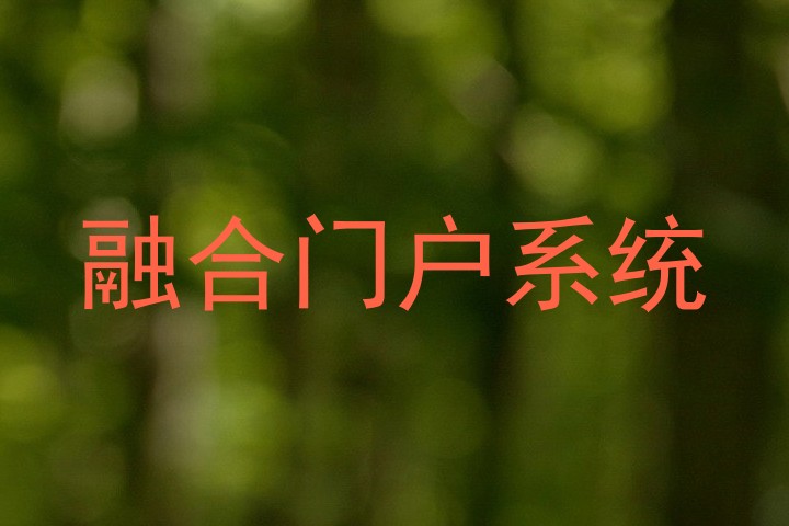 融合门户系统