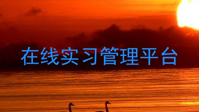 在线实习管理平台