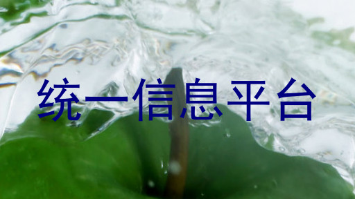 统一信息平台