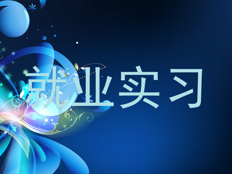 就业实习