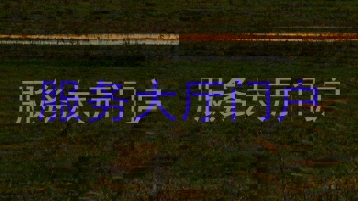 服务大厅门户
