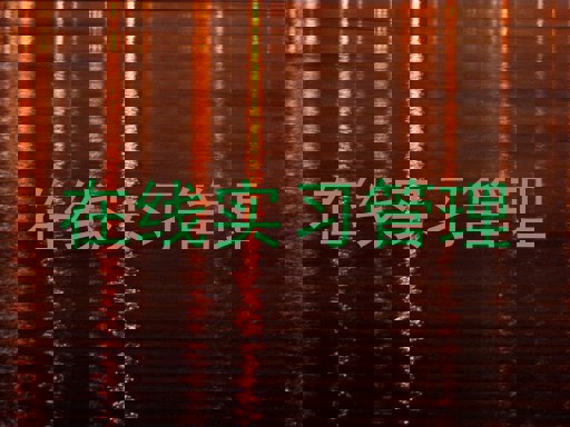 在线实习管理