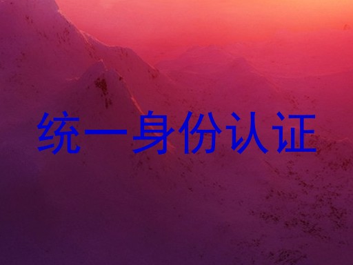 统一身份认证