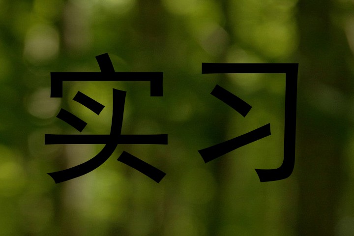 实习