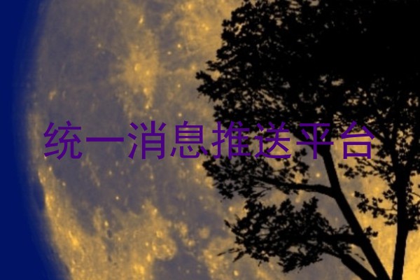 统一消息推送平台