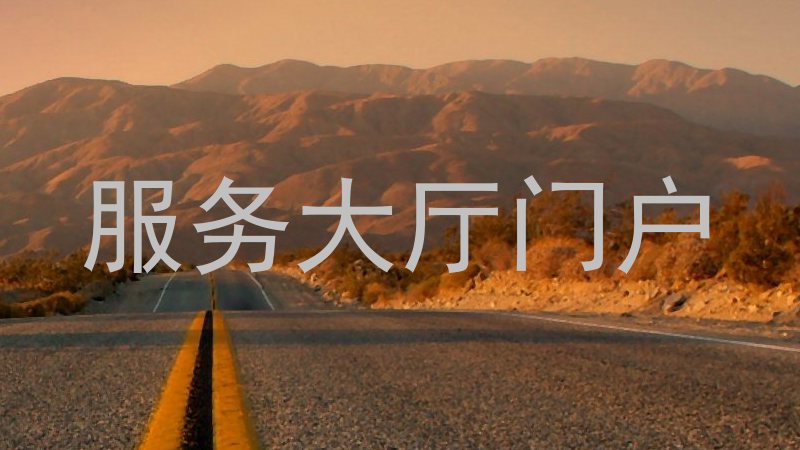 服务大厅门户