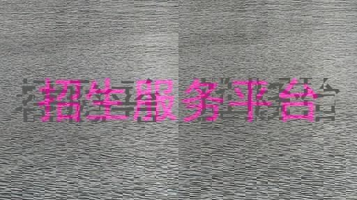 招生服务平台