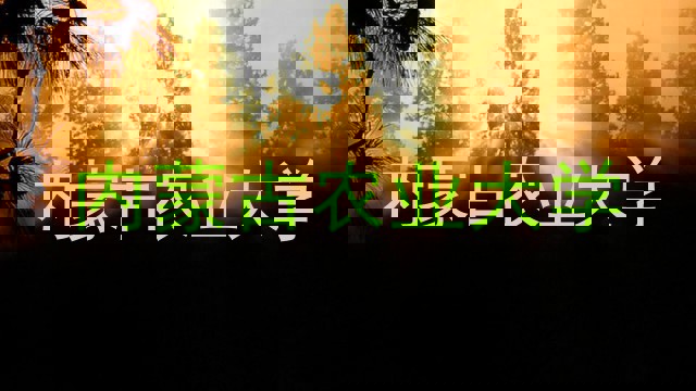 内蒙古农业大学