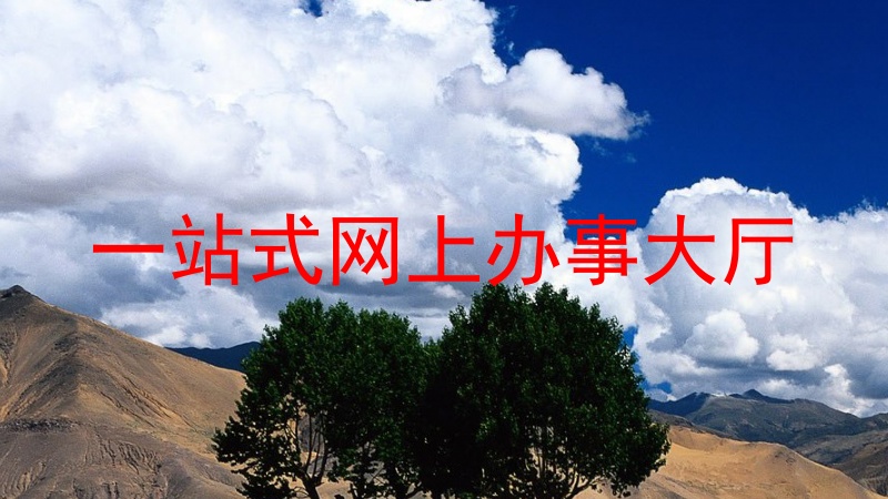 一站式网上办事大厅