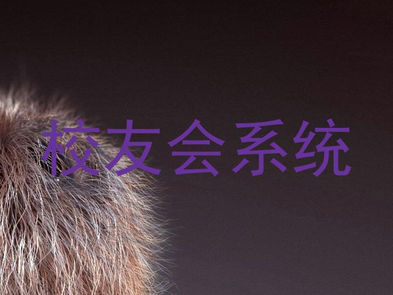 校友会系统