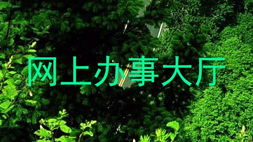 网上办事大厅