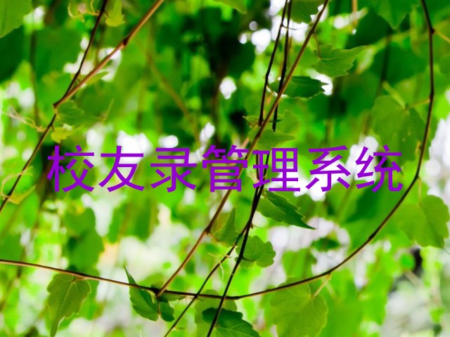校友录管理系统