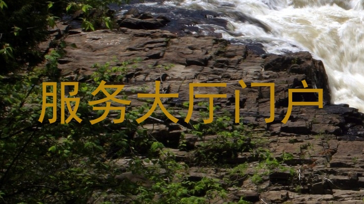 服务大厅门户