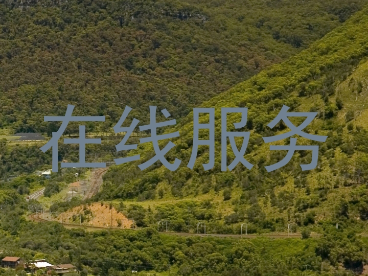 在线服务