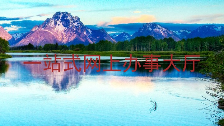 一站式网上办事大厅