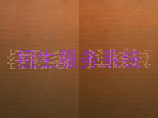 招生服务系统