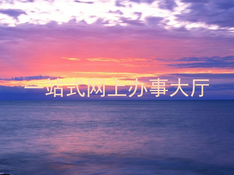 一站式网上办事大厅